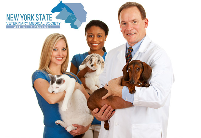 vets holding animals